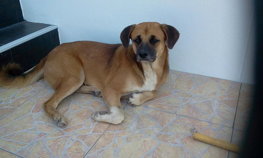 2013-03-26 13.51.25.webp