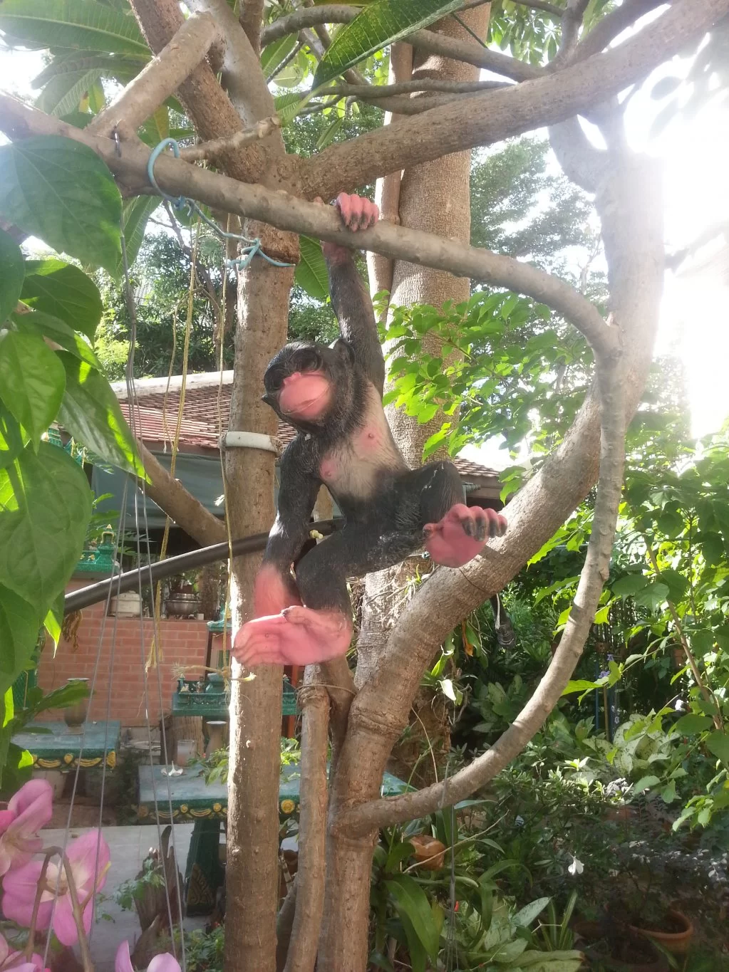 2013-12-17 15.31.25.webp