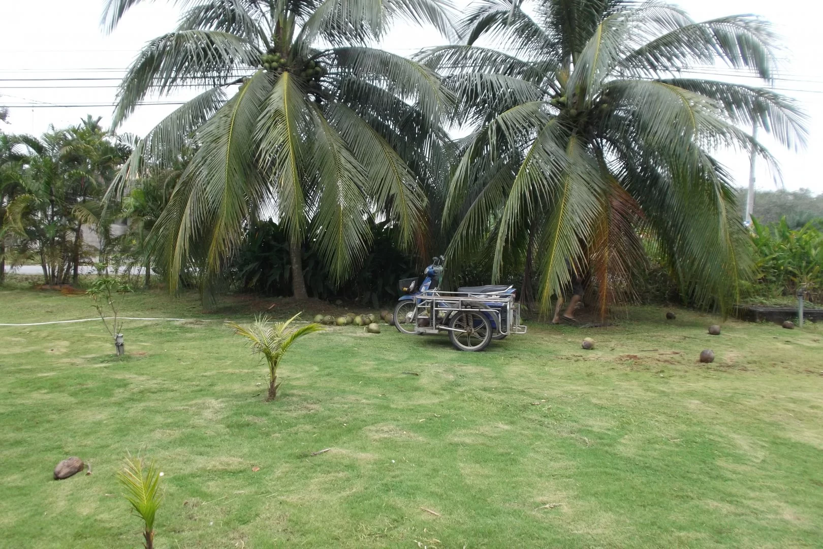 2014-10-23 23.47.30.webp