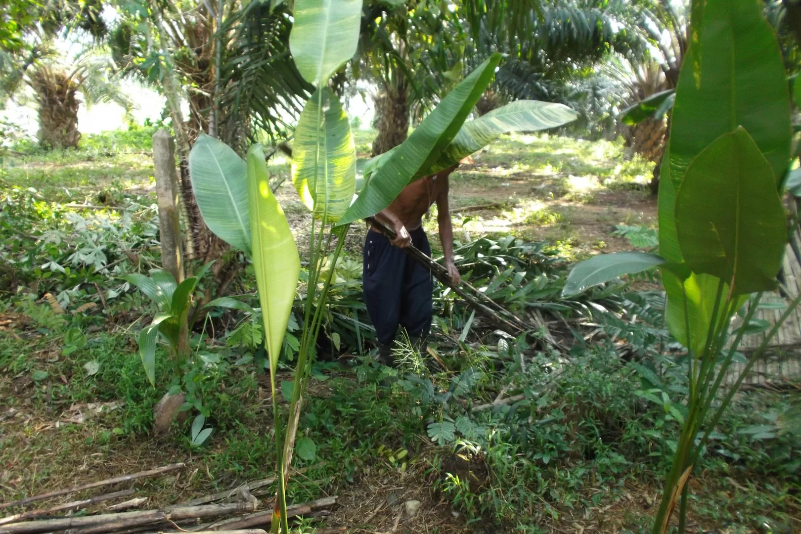 2014-12-03 20.57.22.webp