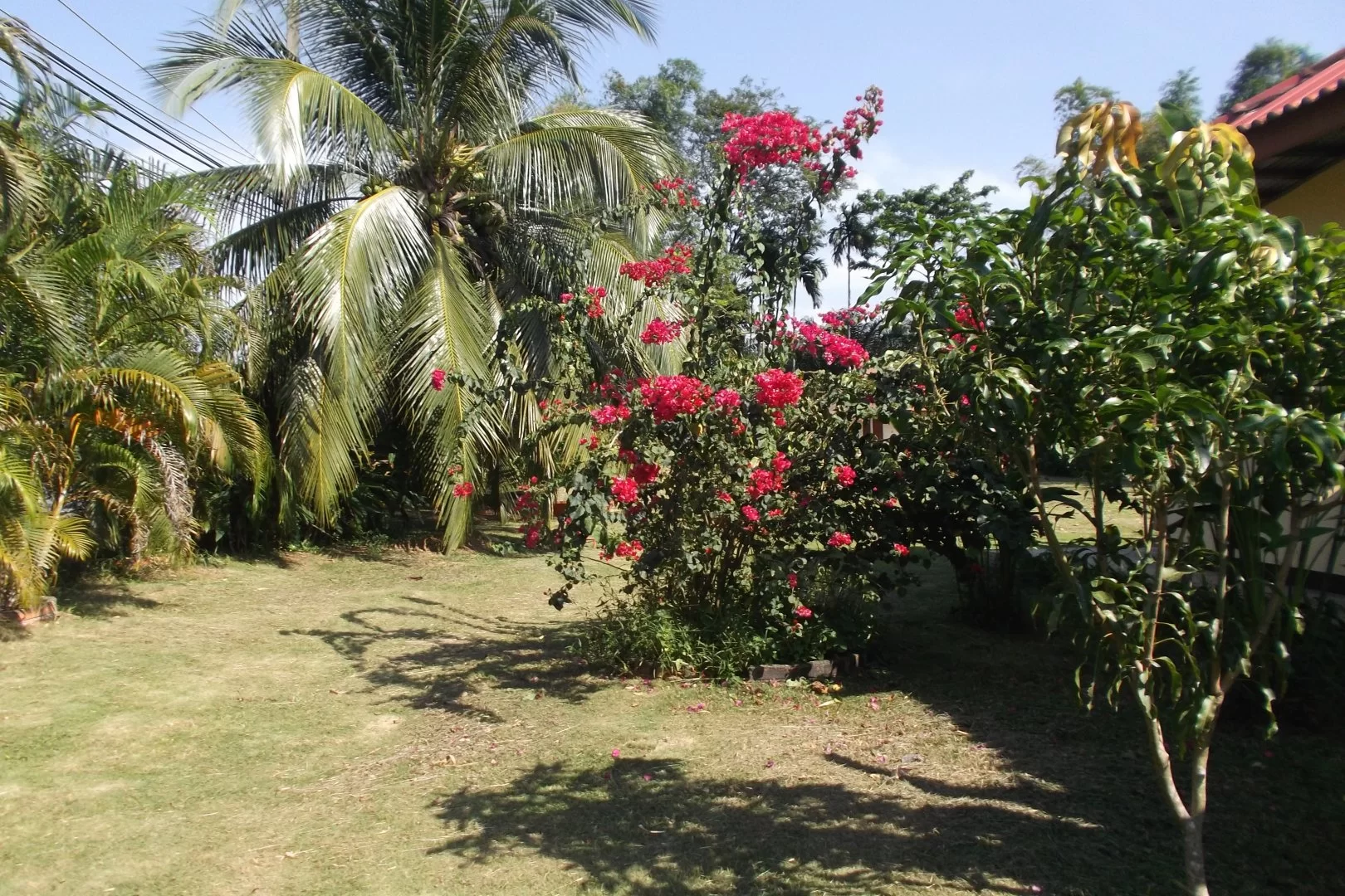 2015-01-02 02.52.56.webp