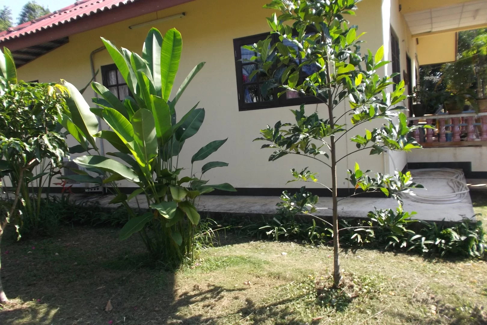 2015-01-02 02.53.00.webp