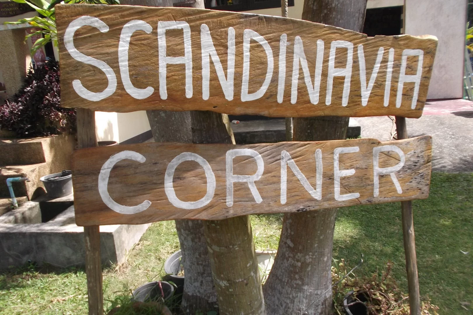 2015-01-09 23.45.34.webp