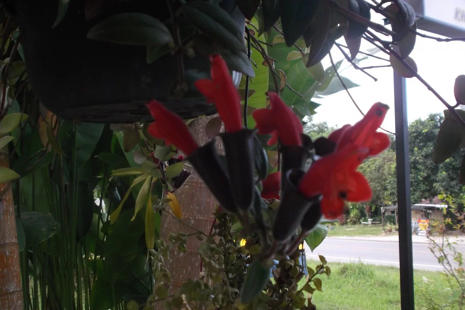 2015-01-14 20.11.54.webp