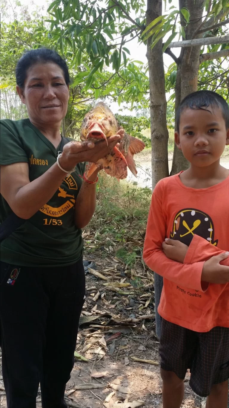 2015-03-17 11.52.13.webp