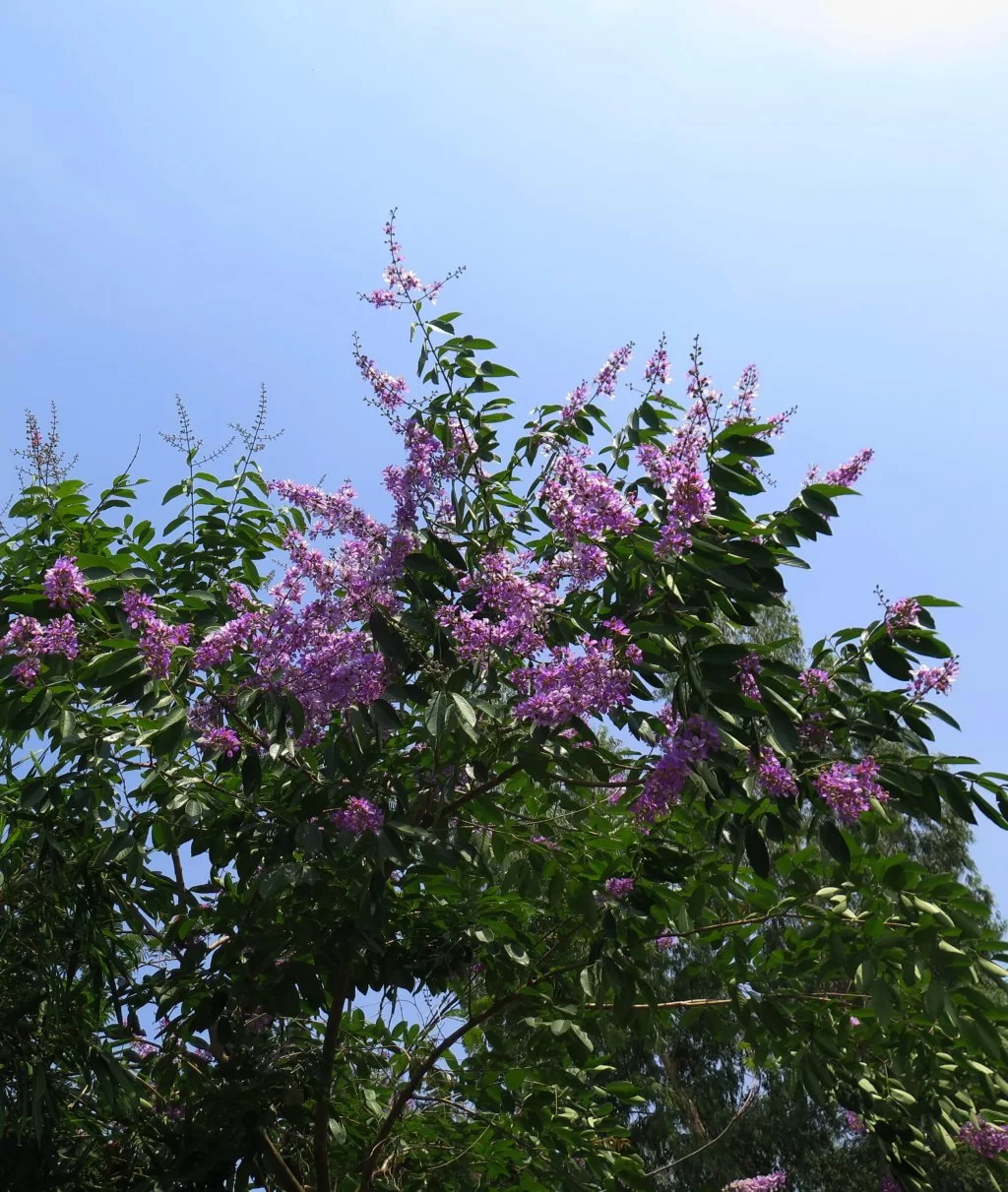 2015-04-14 13-45-34_0001.webp