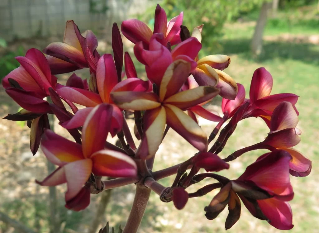 2015-04-14 13-48-45_0004.webp