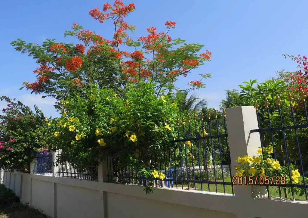 2015-05-28 09-19-17_0006.webp