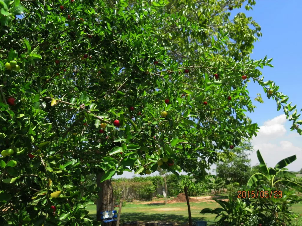 2015-05-29 10-58-57_0001.webp