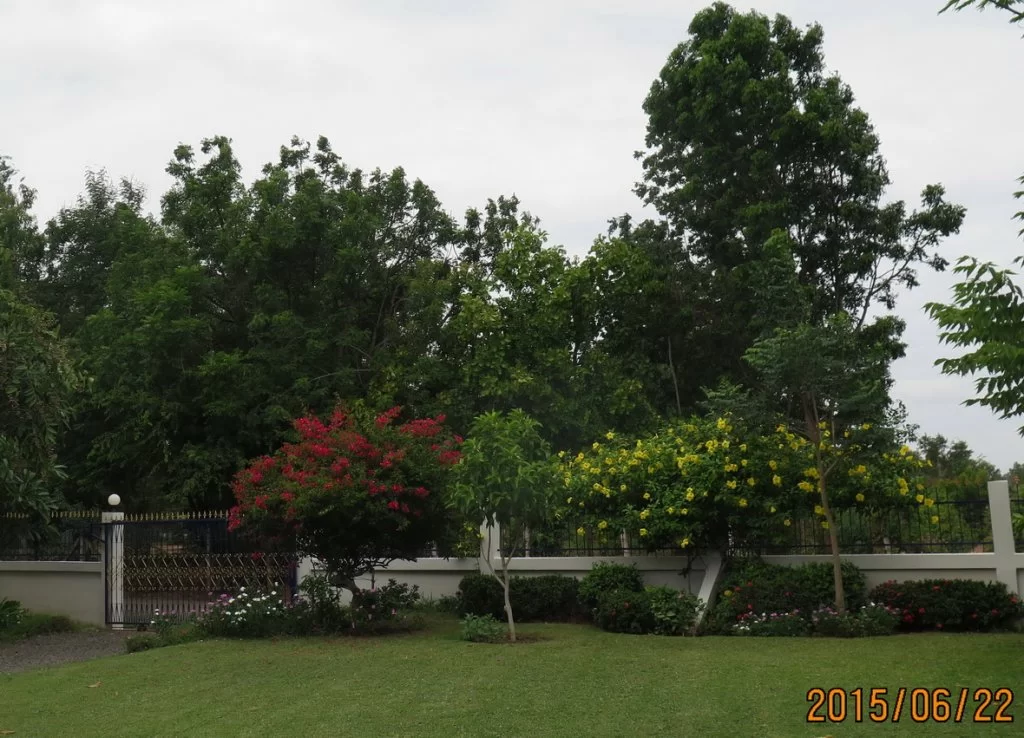 2015-06-22 10-55-03_0001.webp