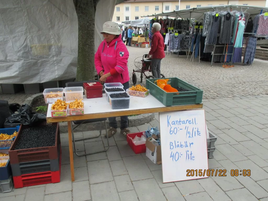 2015-07-22 08.03.30.webp