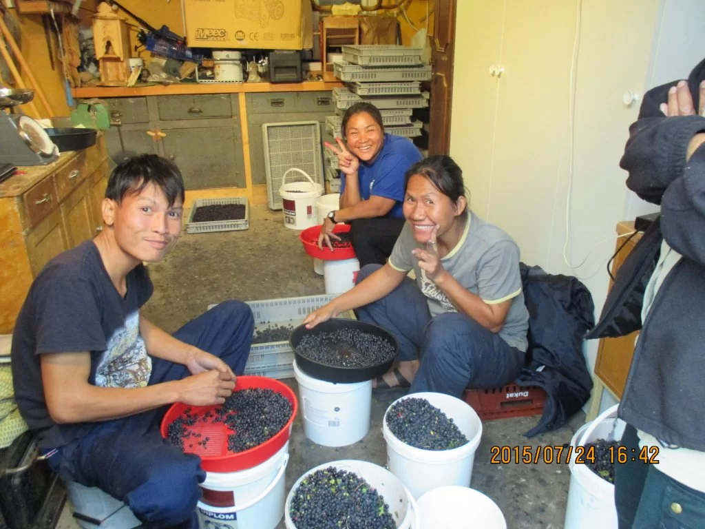 2015-07-24 16.42.57.webp