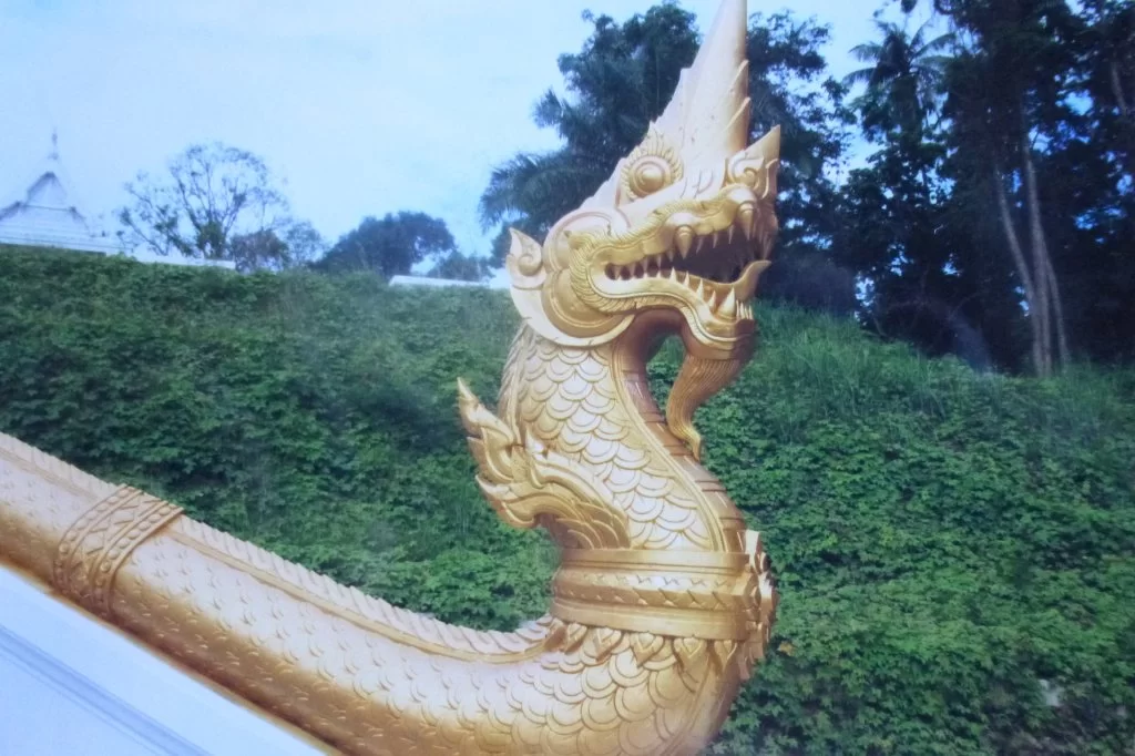 2015-08-23 08.52.35.webp