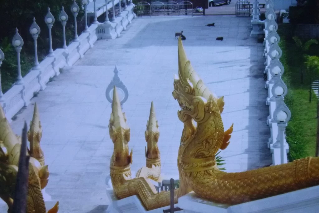 2015-08-23 08.52.45.webp