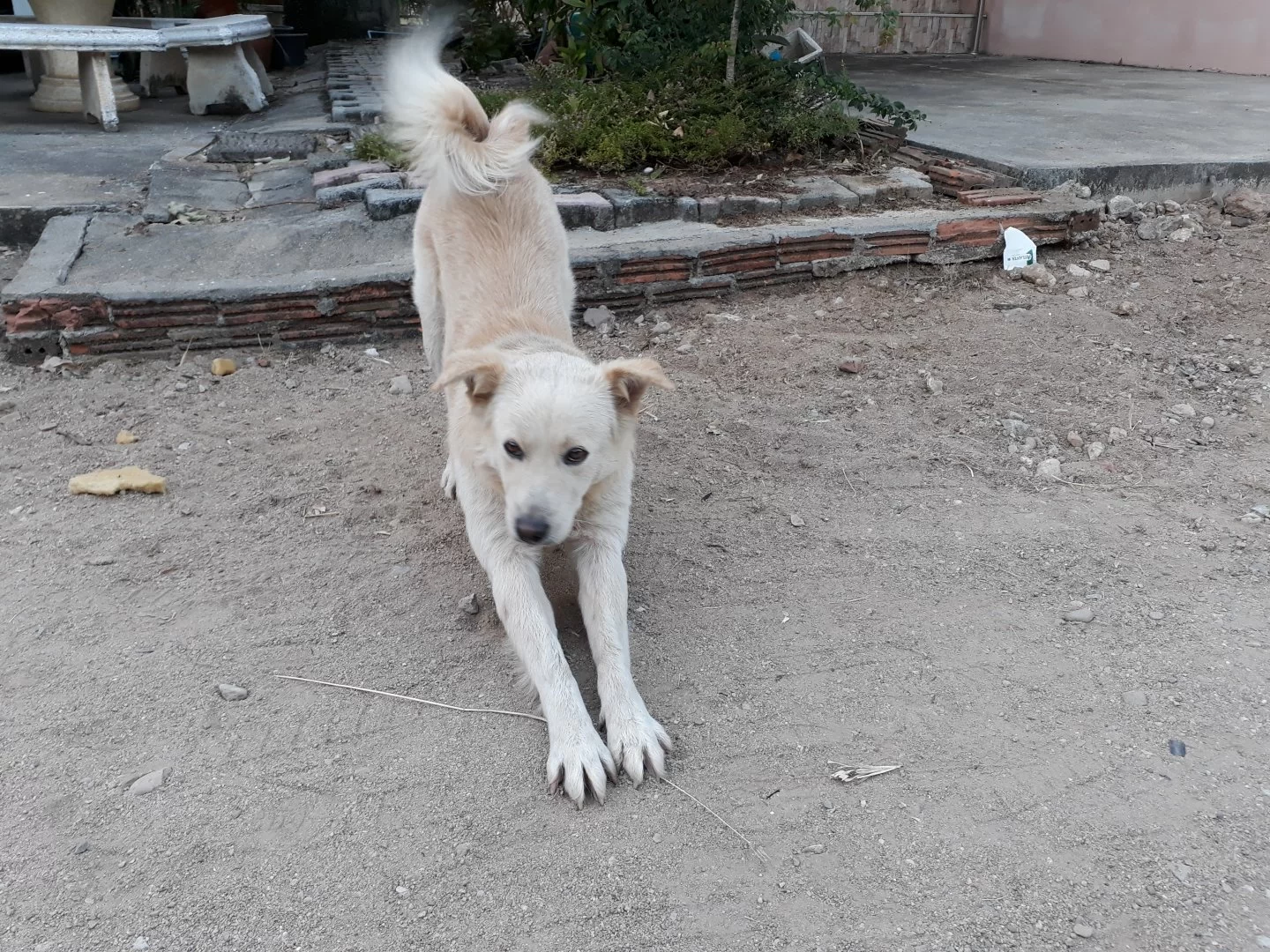 20191210_172455 (1).webp