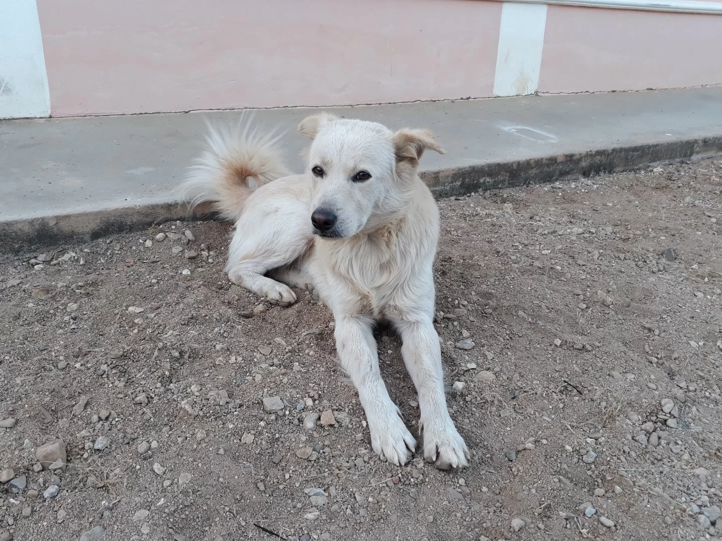 20191210_172534 (1).webp