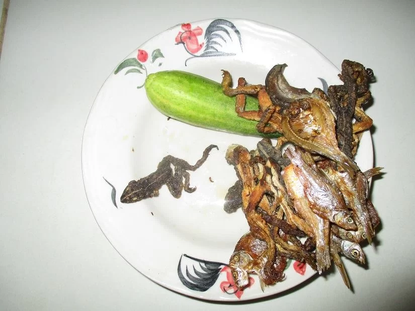 21272673_1990352210990076_8830643652415259638_n (1).jpg