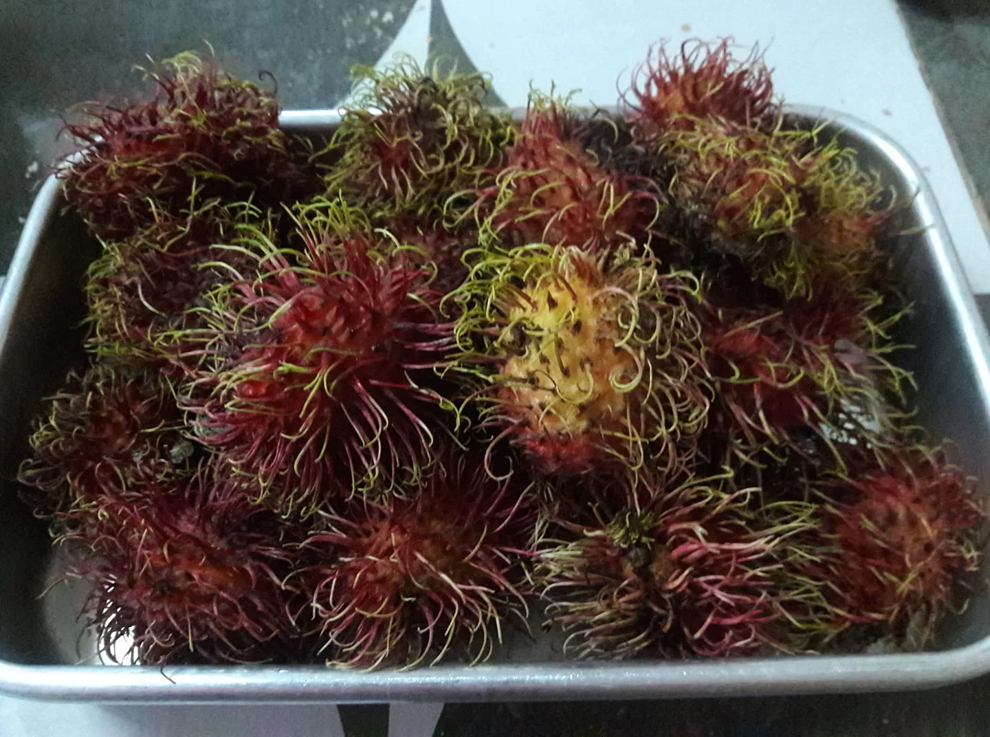 217139598_919016548652057_9086383201179908882_n (1).webp