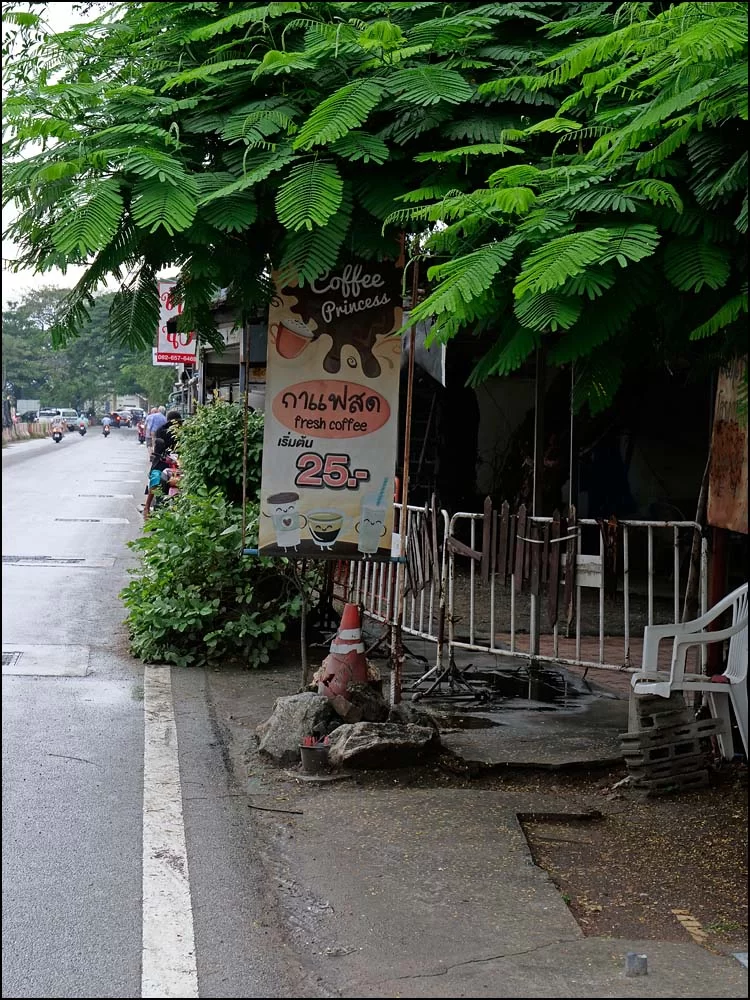 22-1300 Café Princess PKK.webp