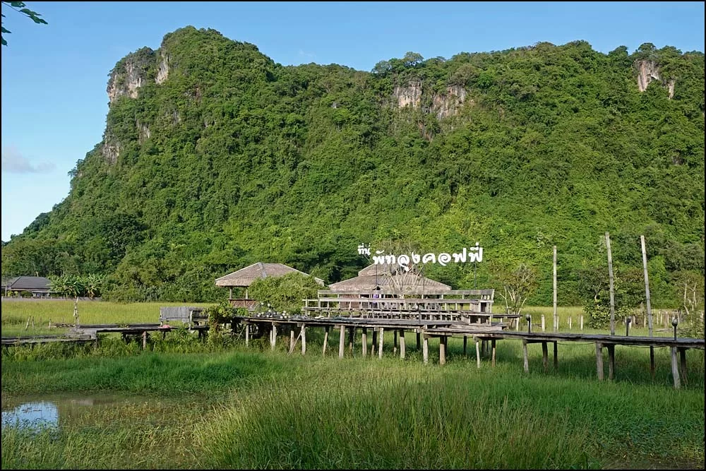 22-1326 Café på fältet PHL.webp