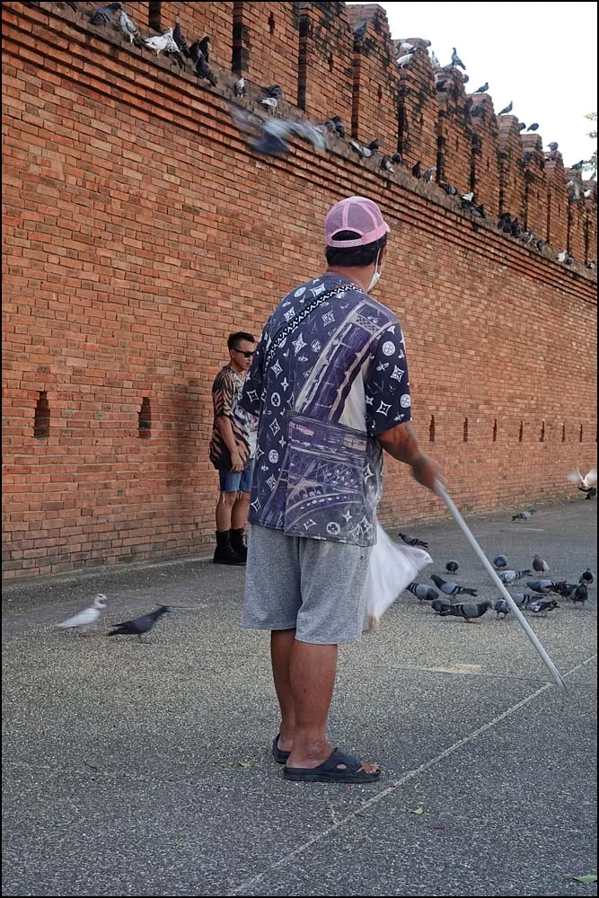 22-1396 Fågelskrämmare CHM.webp