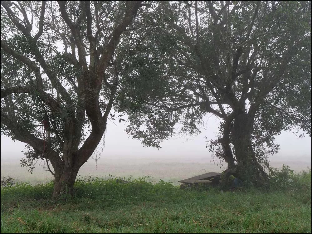 22-1399 Dimma över fälten CHM.webp