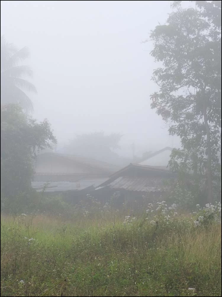 22-1400 Dimma i byn CHM.webp