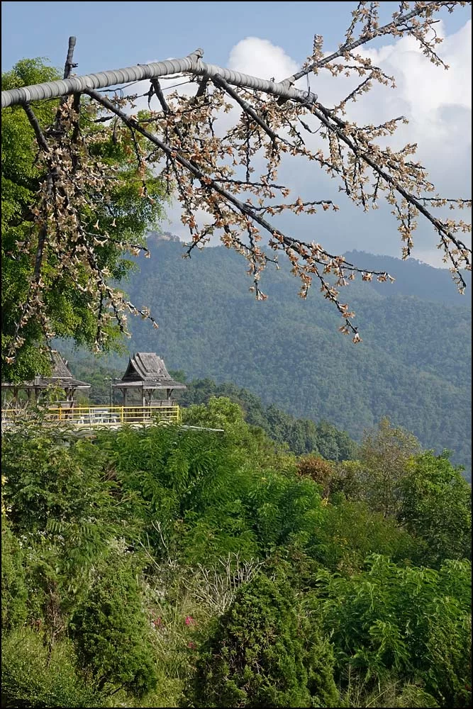 22-1418 Vy från Wat Thaton CHM.webp