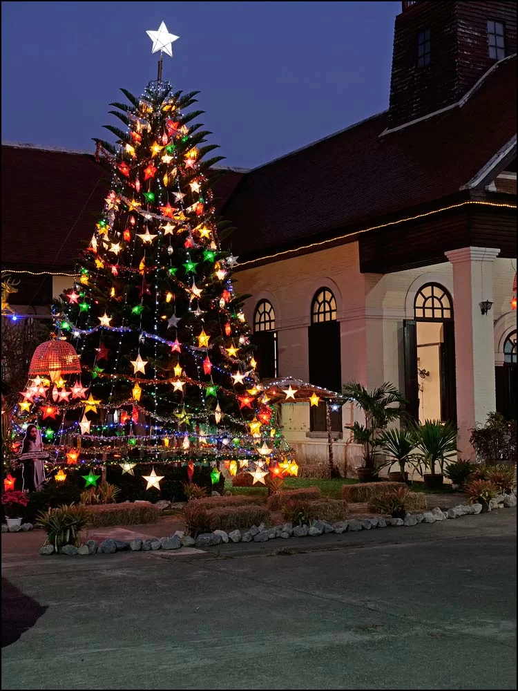 22-1440 Protestantiska kyrkans julgran CHR.webp