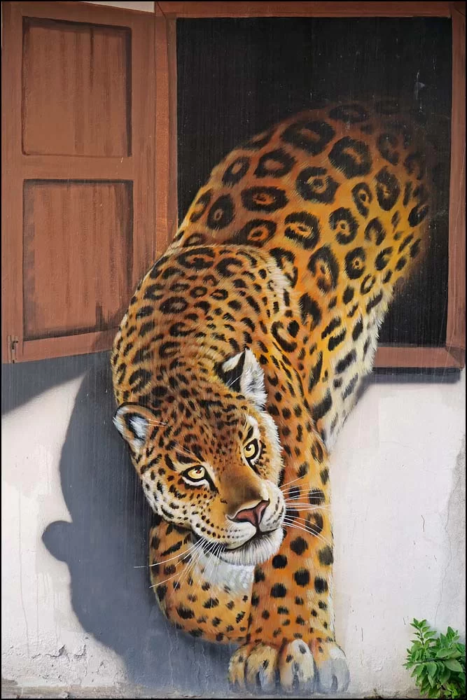 22-1444 Väggmålning, leopard CHR.webp