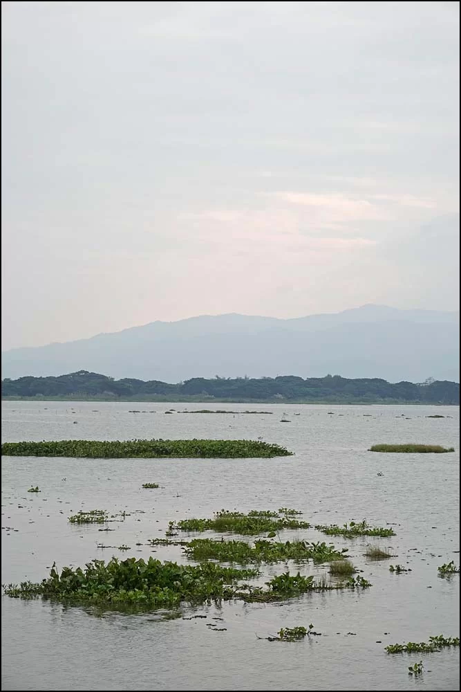 22-1445 Kwan Phayao.webp