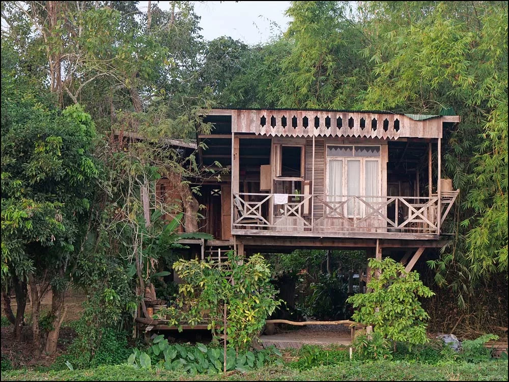 22-1504 Jacks trädhus NAN.webp