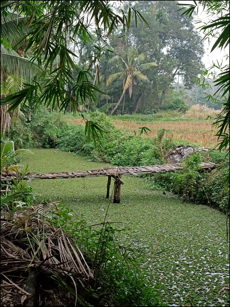 22-1508 Spång över kanal NAN.webp