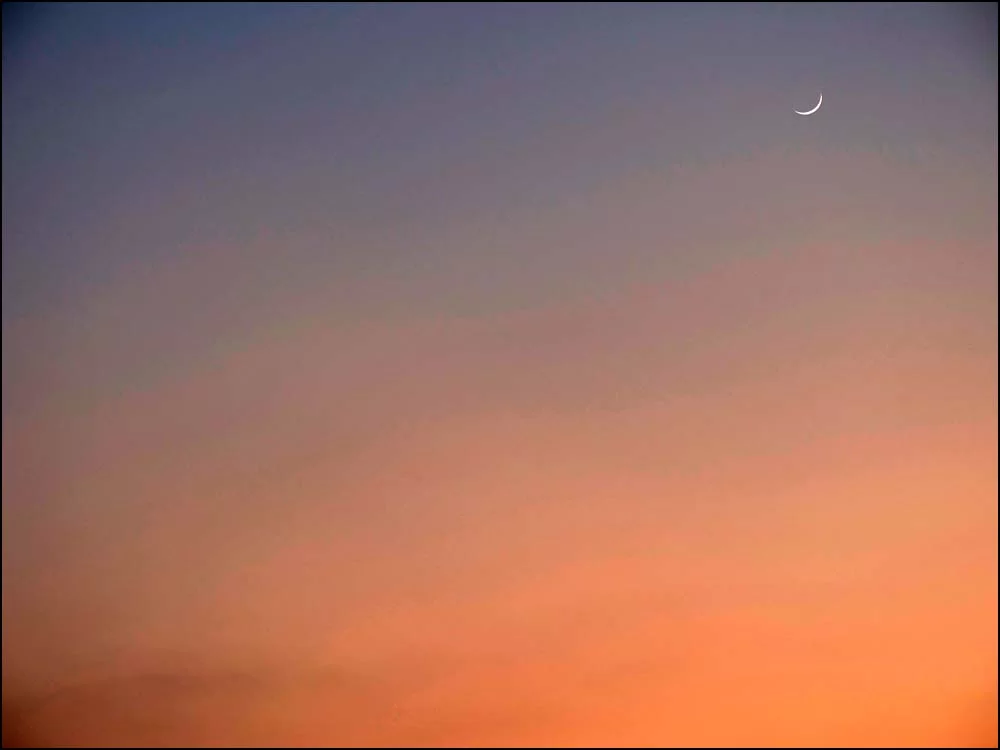 22-1521 Nymåne PYO.webp