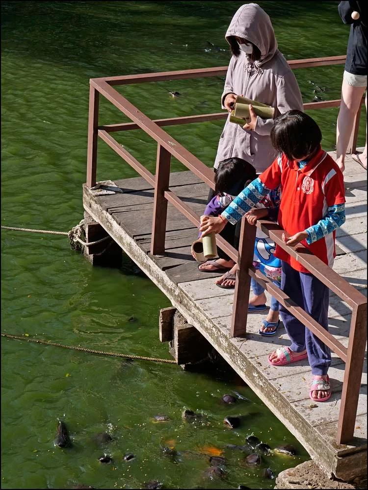 22-1563 Barn matar fiskar SUR.webp