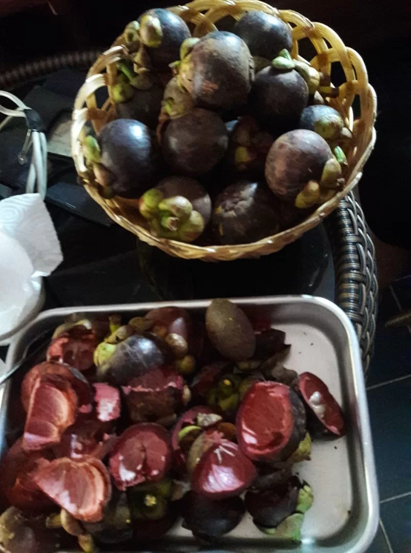 222763697_214265037280128_1510455033990999713_n (1).webp