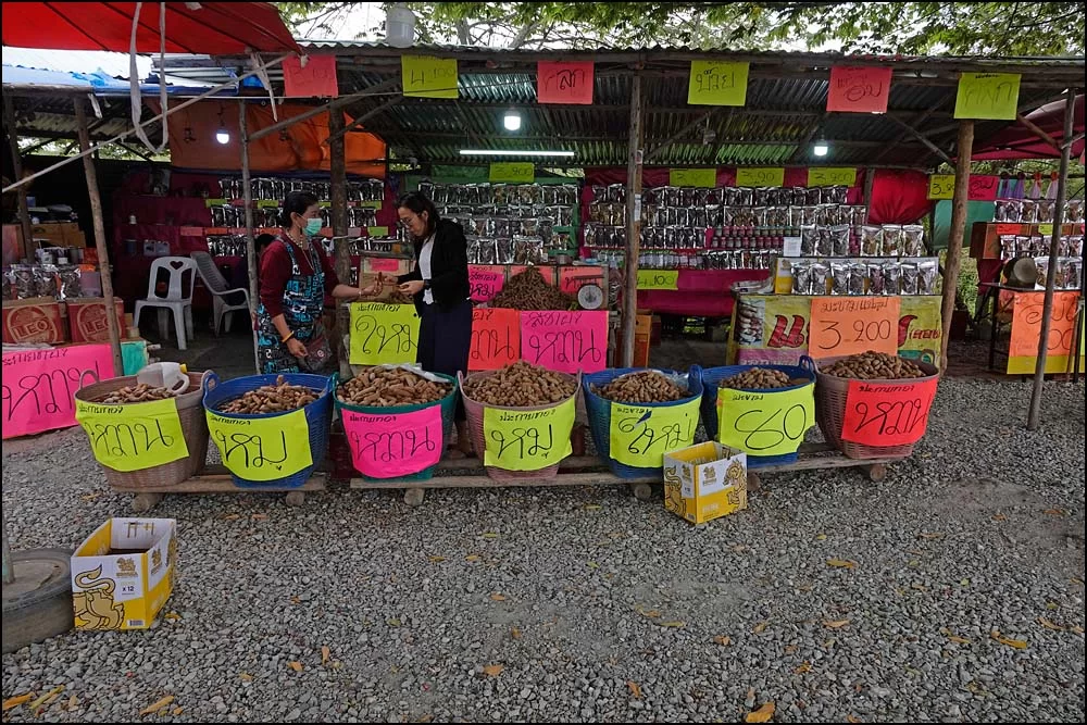 23-0005 Tamarindshop PBU.webp