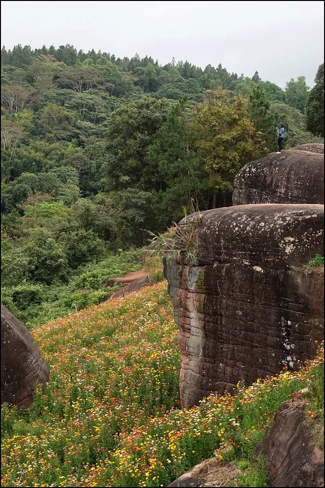 23-0046 Vy, Phu Hin Rong kla park PSL.webp