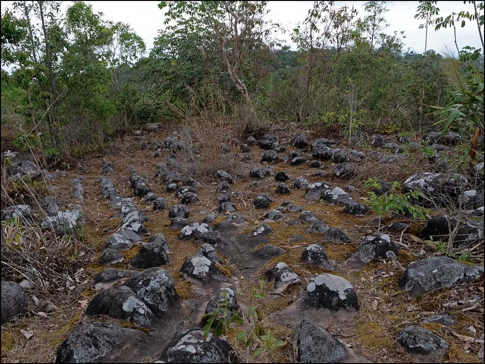 23-0056 Märkliga stenar, Phu Hin Rongkla np PSL.webp