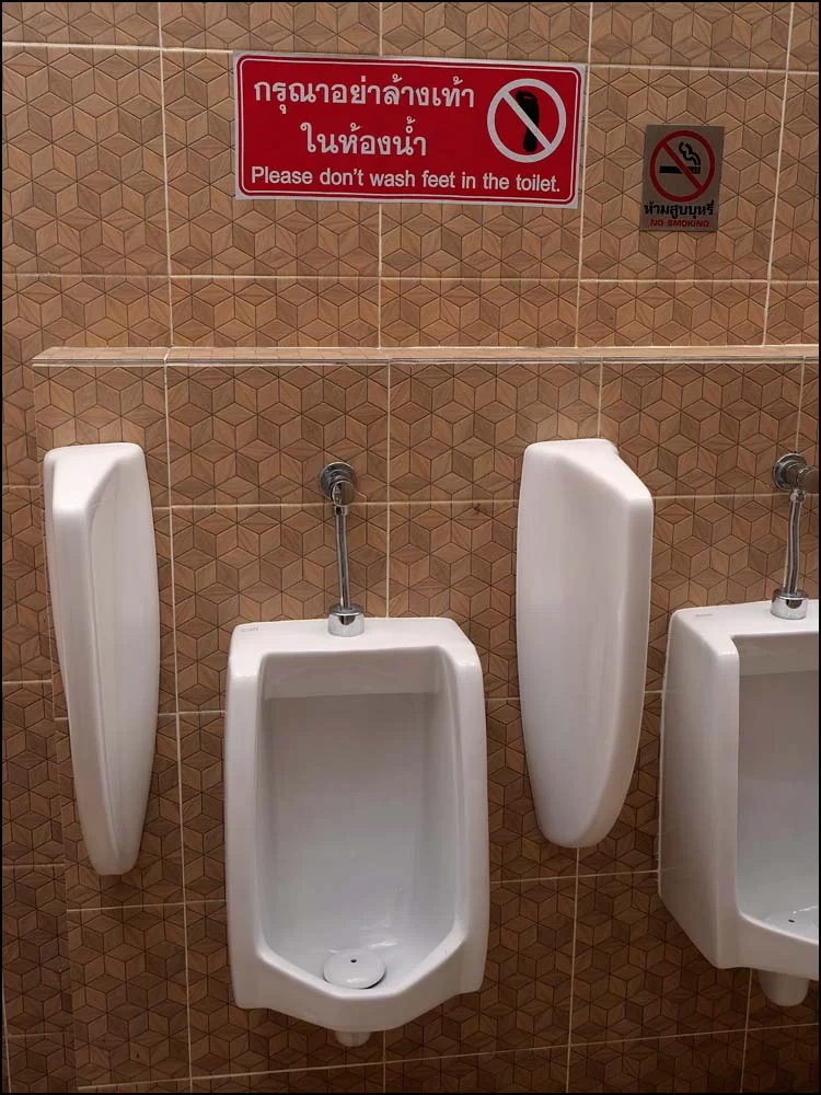 23-0243 Toa, Wat Ket Karam CHM.webp