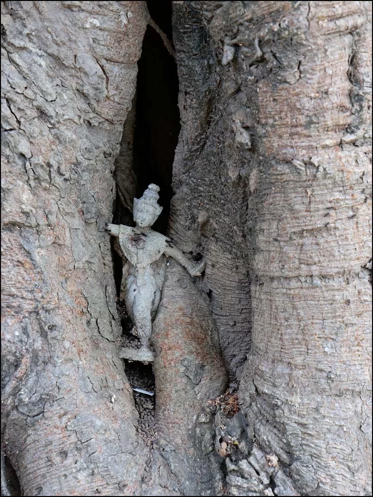 23-0286 Liten Buddhastatyett i träd PYO.webp