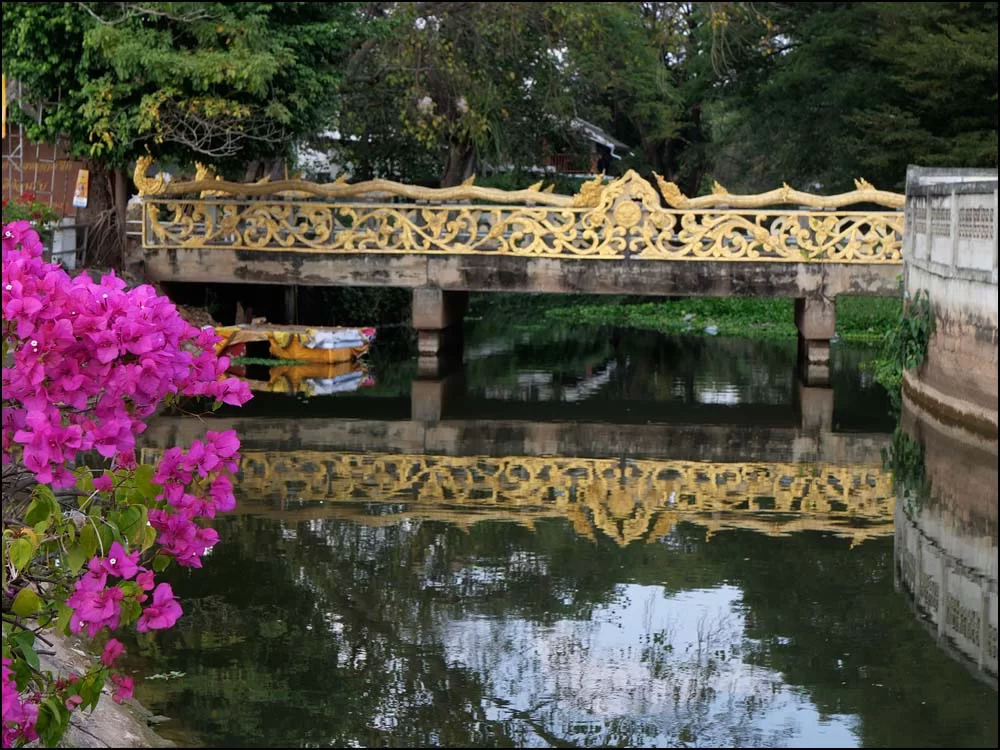 23-0321 Bro, Dok Kham Tai PYO.webp