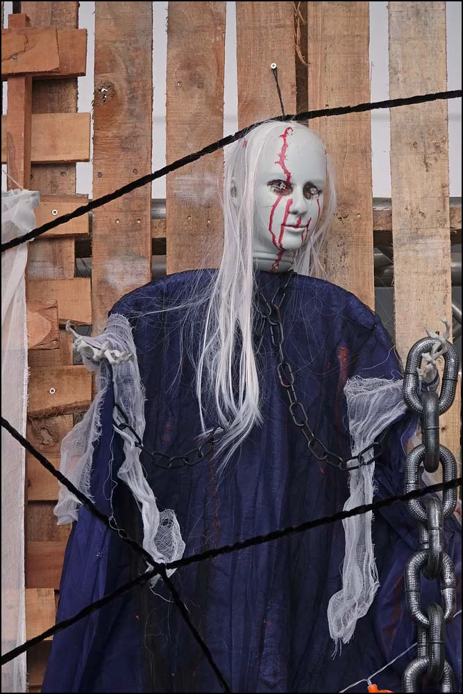 23-1060 Halloween, Market Village PKK.webp