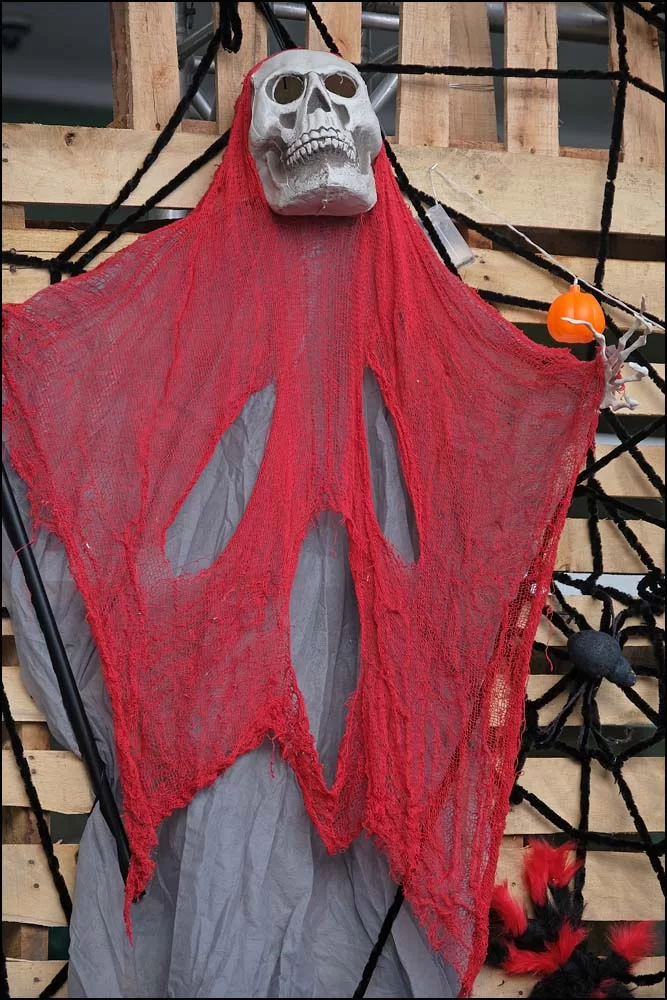 23-1061 Halloween, Market Village PKK.webp