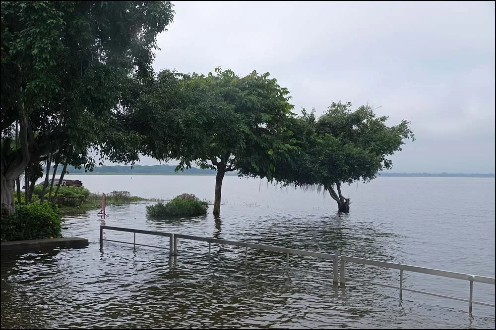23-1125 Högt vatten i Kwan Phayao PYO.webp