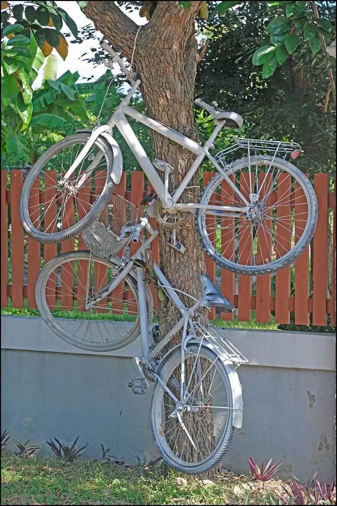 23-1135 Cykelkonst, Dok Kham Tai PYO.webp