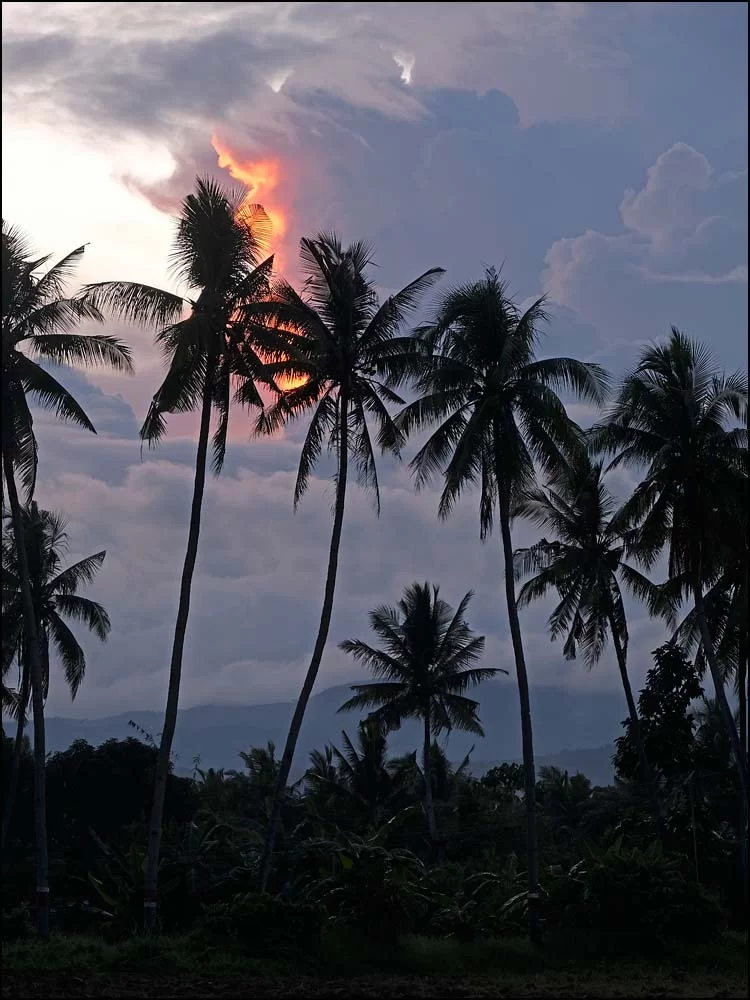 23-1198 Palmer, Inayagan CEB.webp