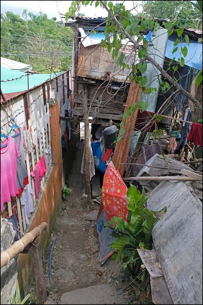 23-1308 Genväg till Liburon CEB.webp