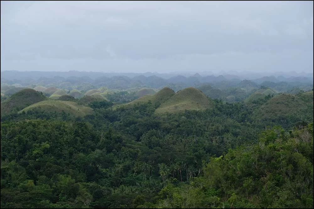 23-1376 Chocolate hills BOH.webp