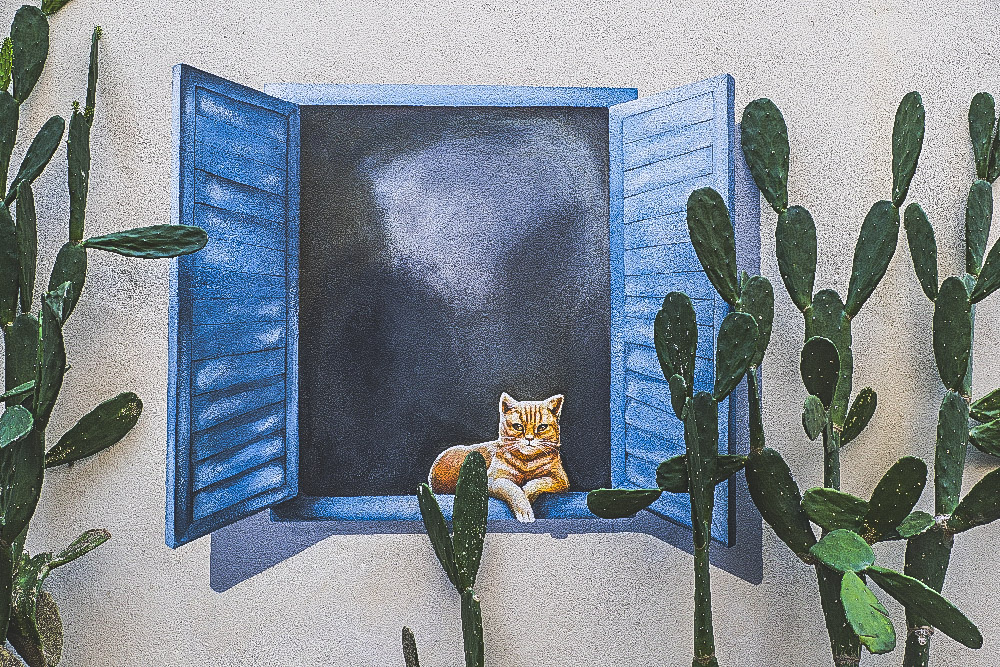 24-1138 Grafitti, katt CHM.jpg